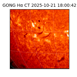 gong - 2025-10-21T18:00:42