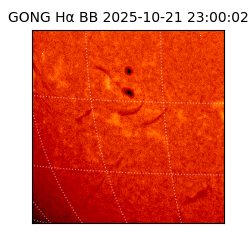 gong - 2025-10-21T23:00:02