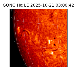 gong - 2025-10-21T03:00:42
