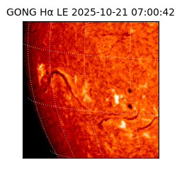 gong - 2025-10-21T07:00:42