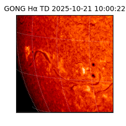 gong - 2025-10-21T10:00:22