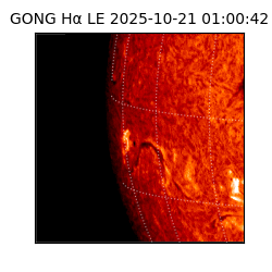 gong - 2025-10-21T01:00:42