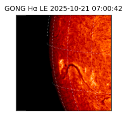 gong - 2025-10-21T07:00:42