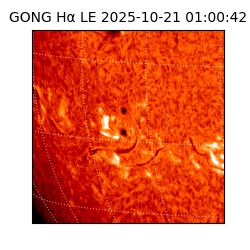 gong - 2025-10-21T01:00:42