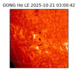 gong - 2025-10-21T03:00:42