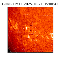 gong - 2025-10-21T05:00:42