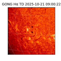 gong - 2025-10-21T09:00:22