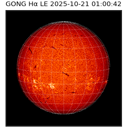 gong - 2025-10-21T01:00:42