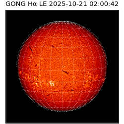 gong - 2025-10-21T02:00:42