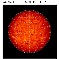 gong - 2025-10-21T03:00:42