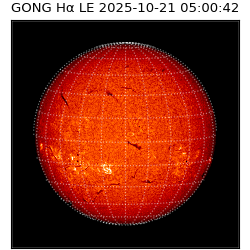 gong - 2025-10-21T05:00:42