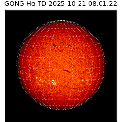 gong - 2025-10-21T08:01:22