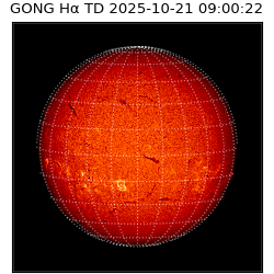 gong - 2025-10-21T09:00:22