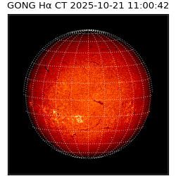 gong - 2025-10-21T11:00:42