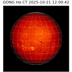 gong - 2025-10-21T12:00:42