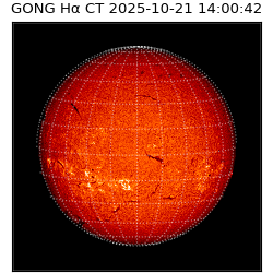 gong - 2025-10-21T14:00:42
