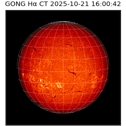 gong - 2025-10-21T16:00:42