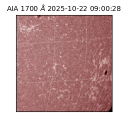 saia - 2025-10-22T09:00:28.717000