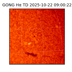 gong - 2025-10-22T09:00:22