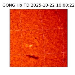 gong - 2025-10-22T10:00:22