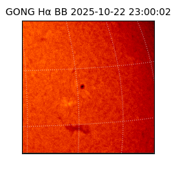 gong - 2025-10-22T23:00:02