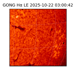gong - 2025-10-22T03:00:42