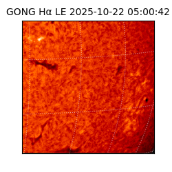 gong - 2025-10-22T05:00:42