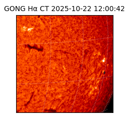gong - 2025-10-22T12:00:42