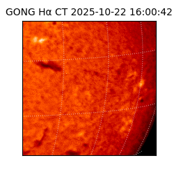 gong - 2025-10-22T16:00:42