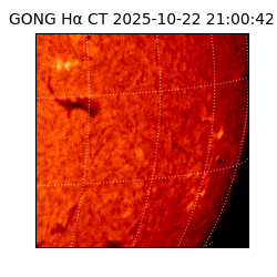 gong - 2025-10-22T21:00:42