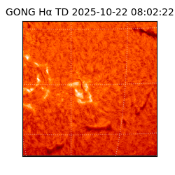 gong - 2025-10-22T08:02:22