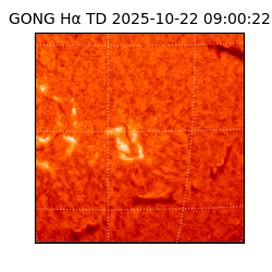 gong - 2025-10-22T09:00:22