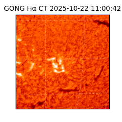 gong - 2025-10-22T11:00:42