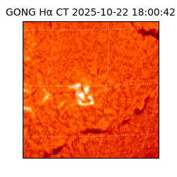 gong - 2025-10-22T18:00:42