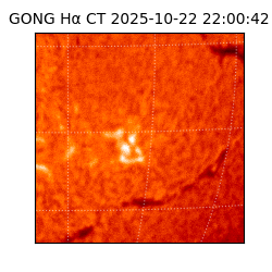 gong - 2025-10-22T22:00:42