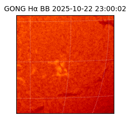gong - 2025-10-22T23:00:02