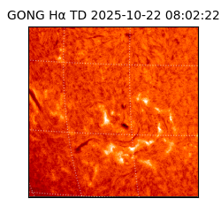 gong - 2025-10-22T08:02:22