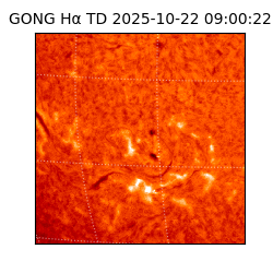 gong - 2025-10-22T09:00:22