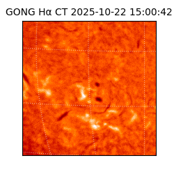 gong - 2025-10-22T15:00:42