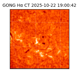 gong - 2025-10-22T19:00:42