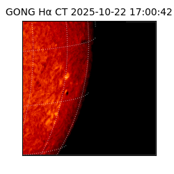 gong - 2025-10-22T17:00:42