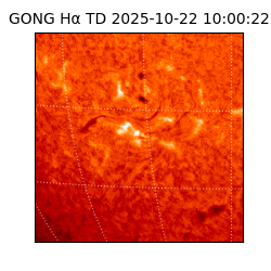 gong - 2025-10-22T10:00:22