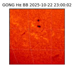 gong - 2025-10-22T23:00:02