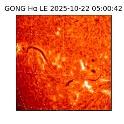 gong - 2025-10-22T05:00:42