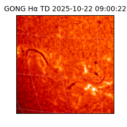 gong - 2025-10-22T09:00:22