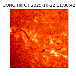 gong - 2025-10-22T11:00:42
