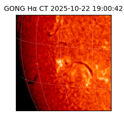 gong - 2025-10-22T19:00:42