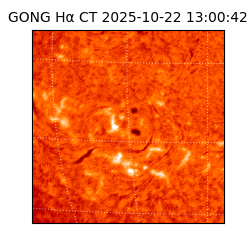gong - 2025-10-22T13:00:42
