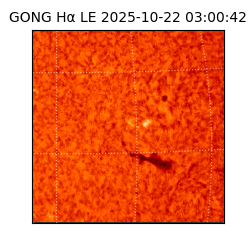gong - 2025-10-22T03:00:42