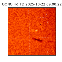 gong - 2025-10-22T09:00:22
